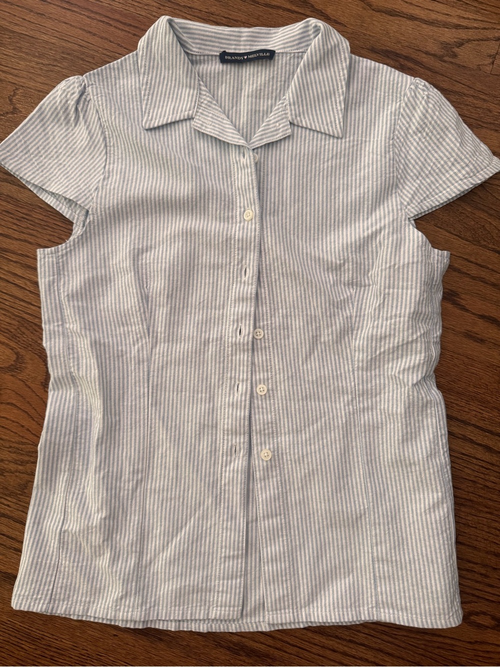 Brandy Melville Light Blue Striped Cotton Button-Front Shirt